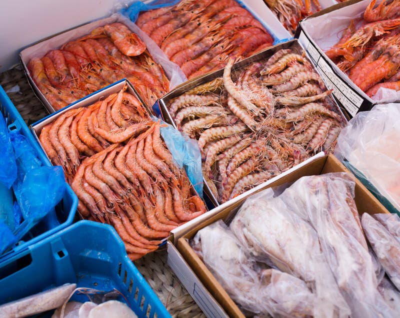 Mariscos mediterráneos enfriados cerca para arriba en contador fotos de archivo libres de regalías Mariscos mediterráneos enfriados cerca para arriba en contador fotos de archivo libres de regalías