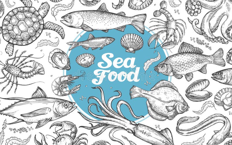 Mariscos o mundo subacuático Bosquejos dibujados mano Ilustración libre illustration Mariscos o mundo subacuático Bosquejos dibujados mano Ilustración libre illustration
