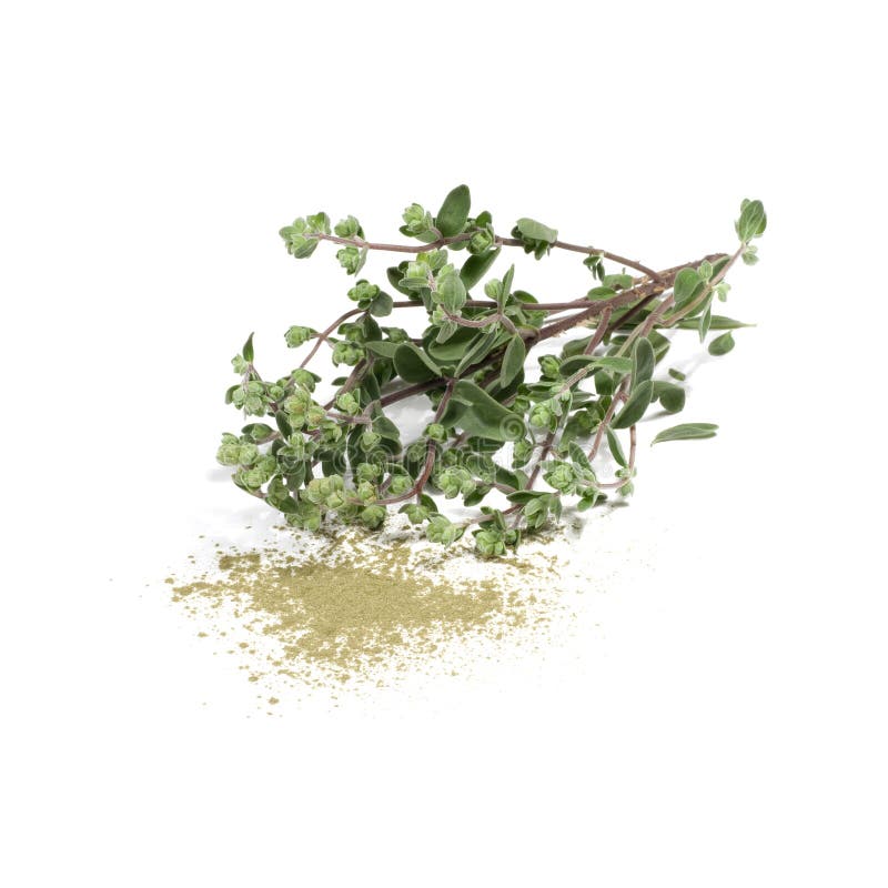 Marjoram stock photo. Image of cooking, green, origanum 7474690