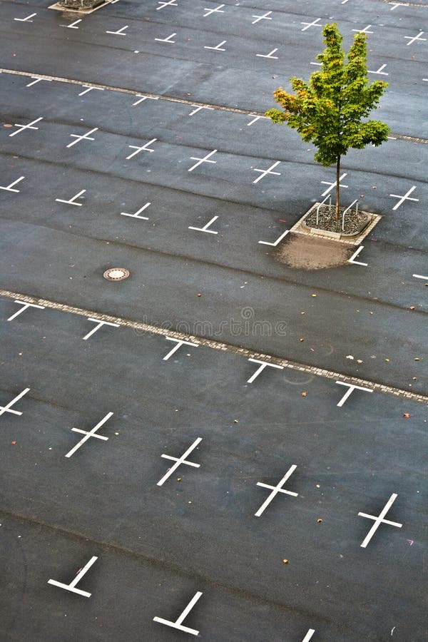 Marked parking lot without cars