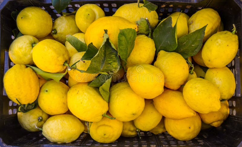 Market Lemons