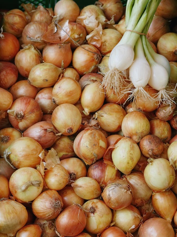 Market Onion