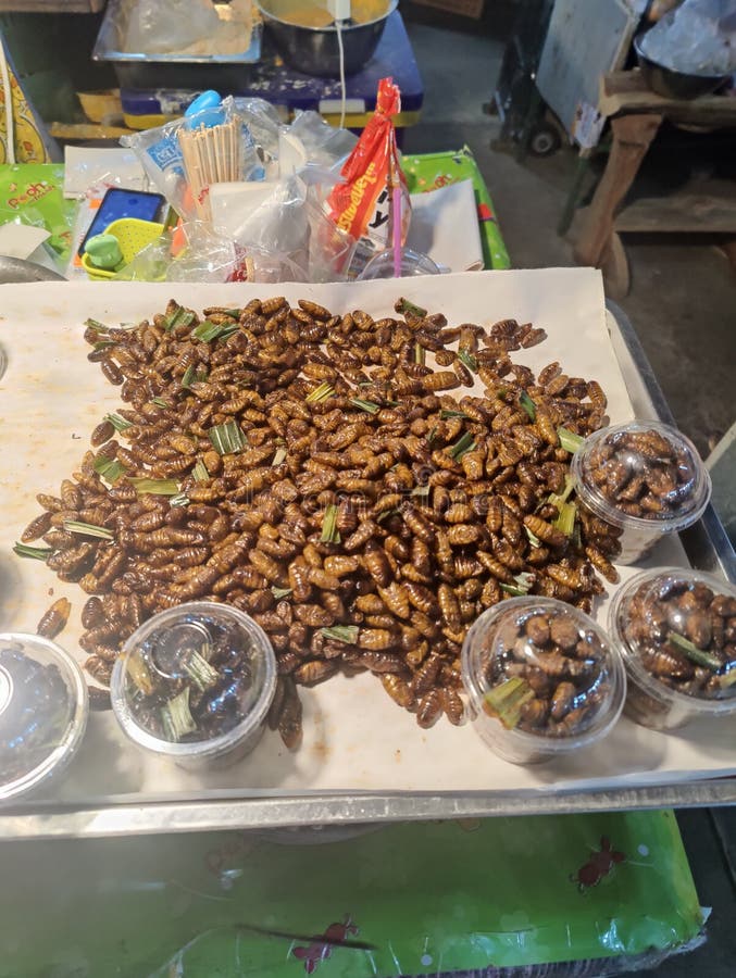 Market Phetchabun Thailand Insect Editorial Photo Image of baking