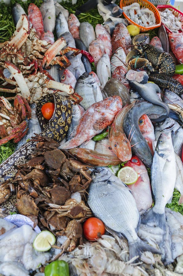 Fish and seafood stock photo. Image of large, colored 198902358