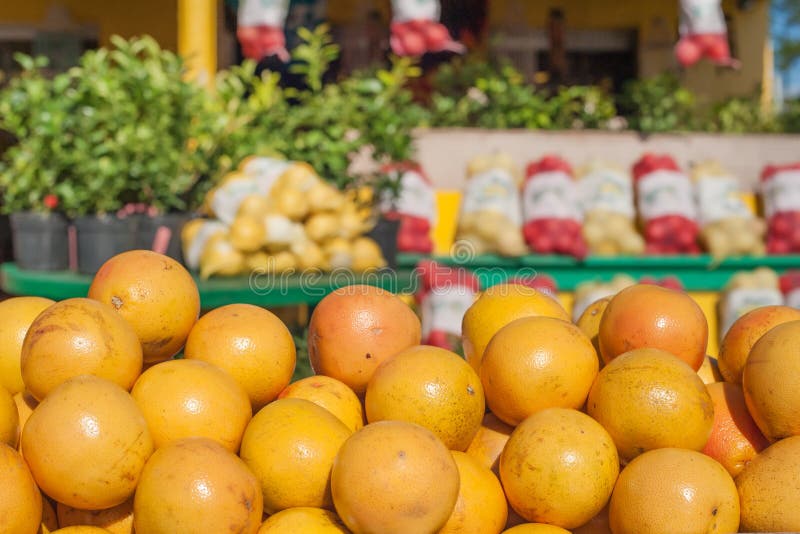 Market stall with oranges stock photo. Image of close 83293696