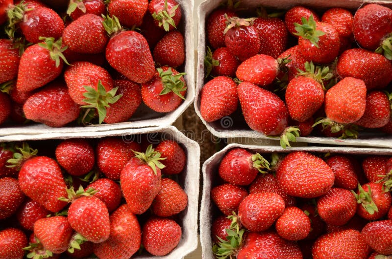 Market Strawberries stock photo. Image of colorful, berry 26006506