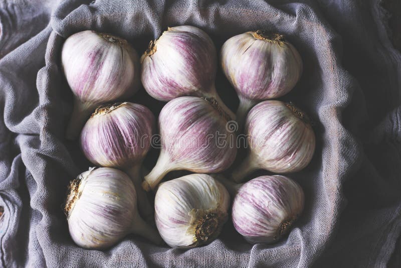 Markotna fotografia unpeeled biały i purpurowy czosnek zawijający w purpurowej pielusze zdjęcia stock Markotna fotografia unpeeled biały i purpurowy czosnek zawijający w purpurowej pielusze zdjęcia stock