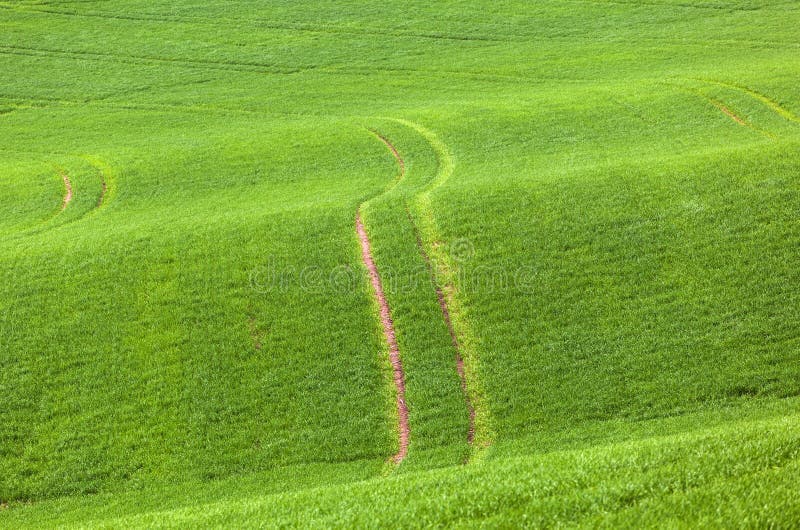 Marks in the field stock images