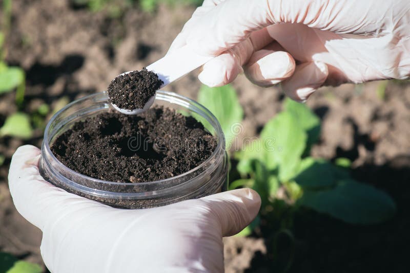 Soil science concept. A scientist is taking a sample of soil close up. Soil science concept. A scientist is taking a sample of soil close up