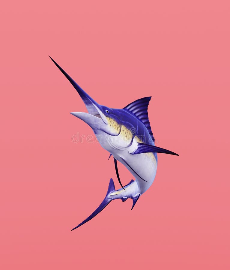 Marlin Fish on Pastel Color Background Stock Illustration