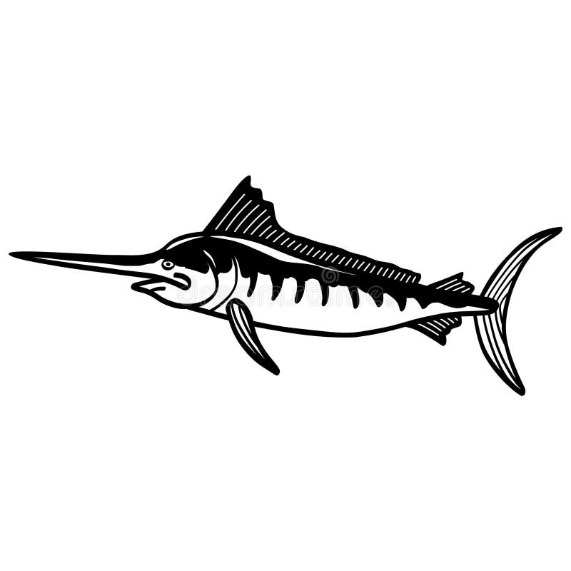 Marlin fish rysunek czarno-biały wektor ilustracja ilustracja wektor