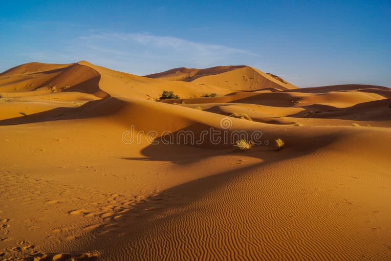Marocco - Dünen in Sahara Desert stockfotos Marocco - Dünen in Sahara Desert stockfotos