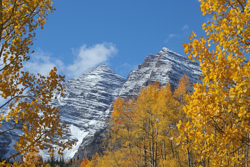 Maroon Bells and Golden Aspens