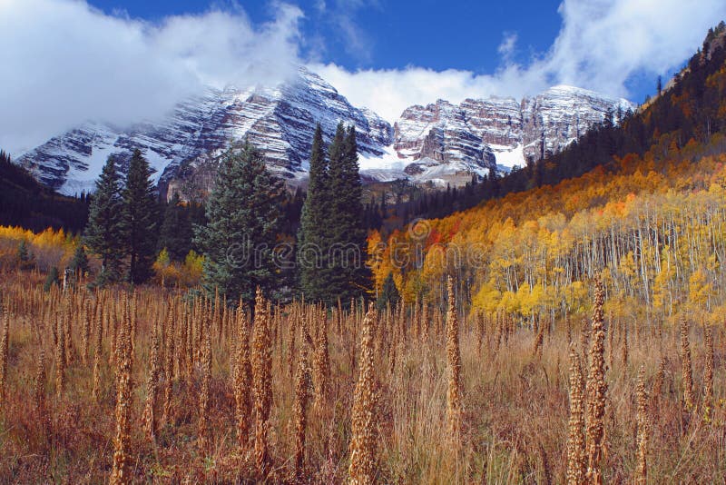 Maroon Bells, Tall Weeds