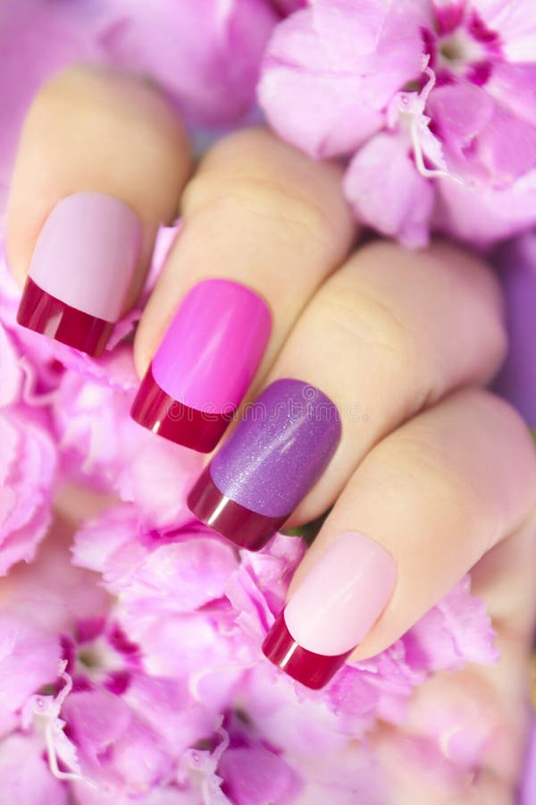 Maroon pink multicolored French manicure. stock image Maroon pink multicolored French manicure. stock image