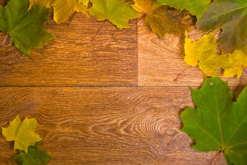 Marple leaves frame on wooden texture