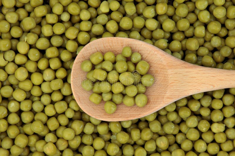Marrowfat Peas stock photo. Image of textured, marrowfat 23890698