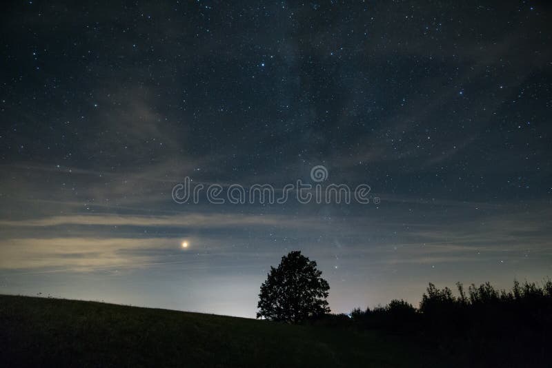 Mars en melkachtige manier achter boomsilhouet stock foto Mars en melkachtige manier achter boomsilhouet stock foto