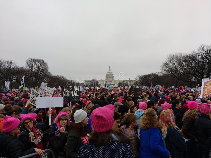 Women`s March on Washington, January 21, 2017: A record number of demonstrators descended on the nation`s capital to rally against the recently-inaugurated President of the United States, Donald Trump. This worldwide, grassroots movement was a series of political rallies organized for women`s rights as well as a myriad of other causes threatened by President Donald Trump`s rhetoric. This photo highlights the pink, knitted `pussy hat` worn by many of the protesters. The `pussy hat` was an effort by the nationwide Pussyhat Project to reclaim the derogatory term `pussy`. Women`s March on Washington, January 21, 2017: A record number of demonstrators descended on the nation`s capital to rally against the recently-inaugurated President of the United States, Donald Trump. This worldwide, grassroots movement was a series of political rallies organized for women`s rights as well as a myriad of other causes threatened by President Donald Trump`s rhetoric. This photo highlights the pink, knitted `pussy hat` worn by many of the protesters. The `pussy hat` was an effort by the nationwide Pussyhat Project to reclaim the derogatory term `pussy`.