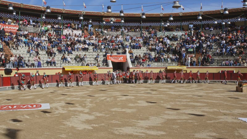 26 mars 2023 portugal vila franca de xira : tourada forcados marchant sur l'arène de combat de taureaux