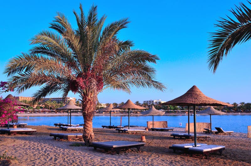 Marsa alam