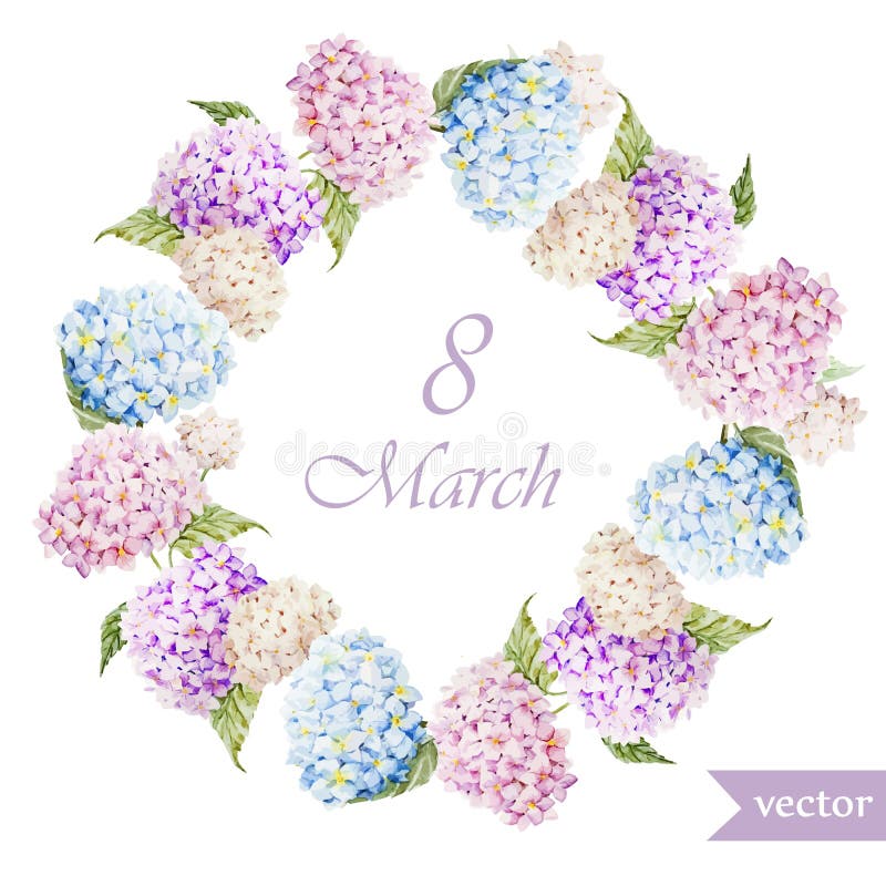 Marschera 8, vanliga hortensian, kransen, flowers3 stock illustrationer Marschera 8, vanliga hortensian, kransen, flowers3 stock illustrationer