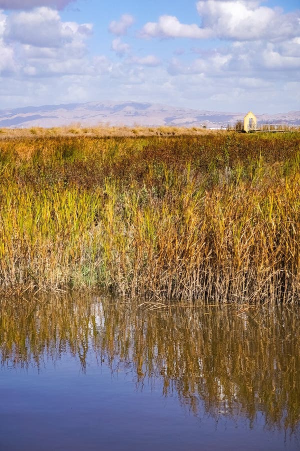 marsh-landscape-south-san-francisco-bay-alviso-marina-san-jose