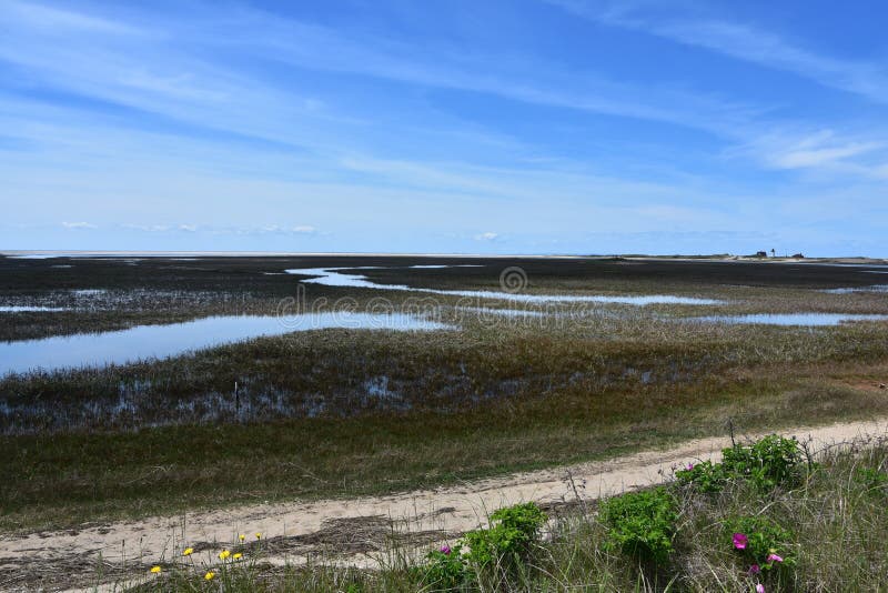Marsh and Tidal Flats Along Cape Cod royalty free stock photo