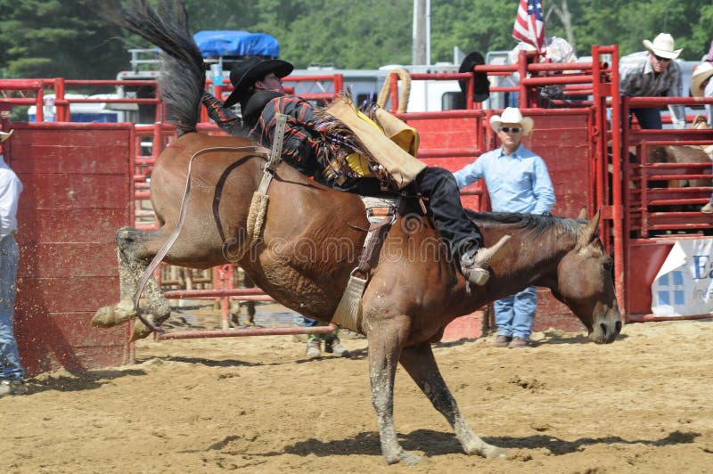 Marshfield, Massachusetts - June 24, 2012: A Rodeo Cowboy Riding A Bareback Bucking Bronco