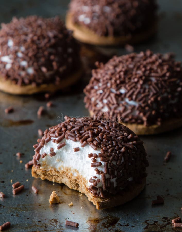 Marshmallow biscuit stock photo. Image of calories, unhealthy 29511342