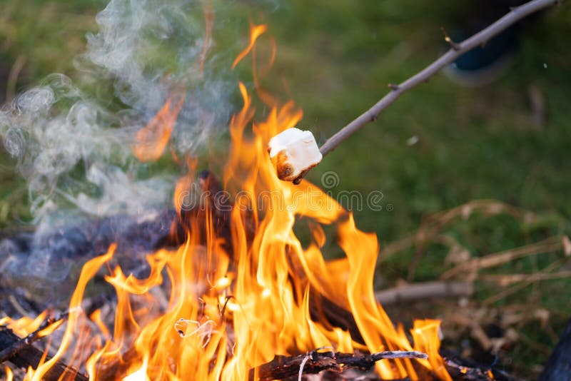 Marshmallow op campfire close royalty-vrije stock foto's Marshmallow op campfire close royalty-vrije stock foto's