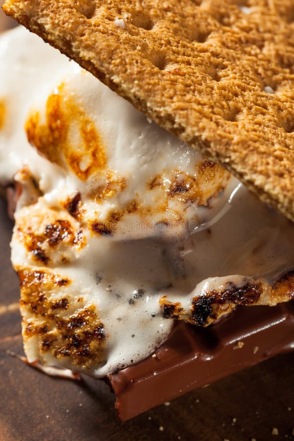 Marshmallow pegajosos caseiro S'mores fotografia de stock