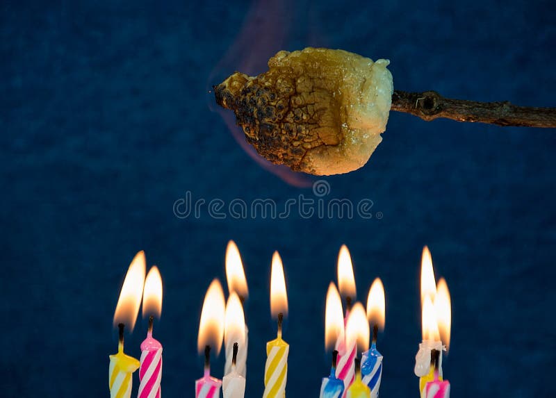 Marshmallow roast over birthday candles