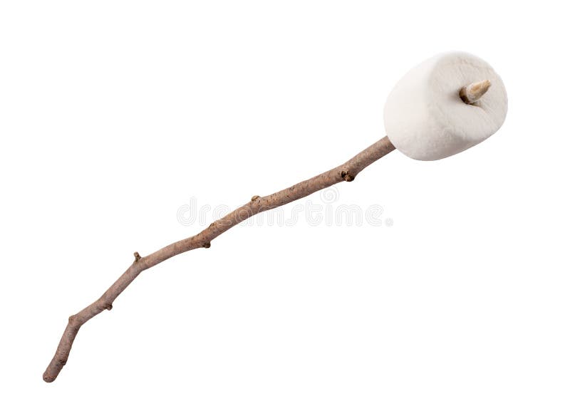 Marshmallow on a Stick stock photo. Image of bark, stick 44407002