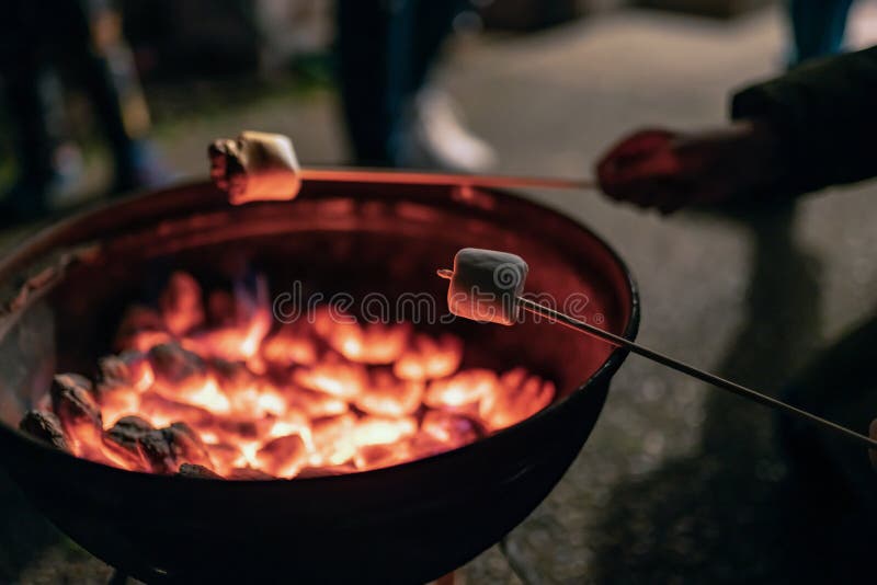 Marshmallows da repreensão das crianças em espetos fotos de stock Marshmallows da repreensão das crianças em espetos fotos de stock