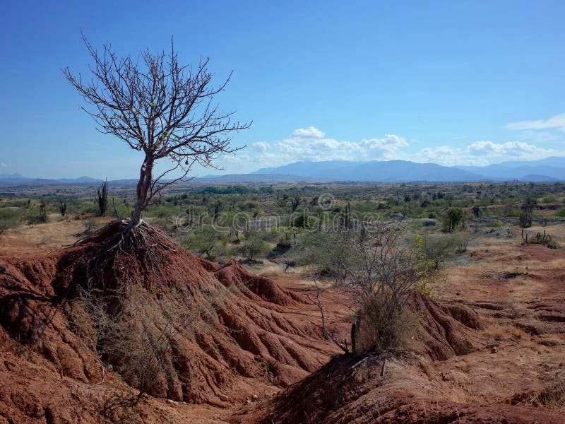 Marsinvånarelandskapet av Cuzco, den röda öknen, del av öknen för Colombia ` s Tatacoa fotografering för bildbyråer Marsinvånarelandskapet av Cuzco, den röda öknen, del av öknen för Colombia ` s Tatacoa fotografering för bildbyråer