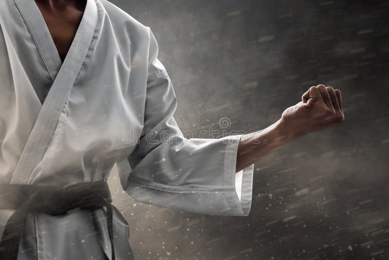 Fighter, Strong Karate Posing in Low Fighting Stance Stock Photo