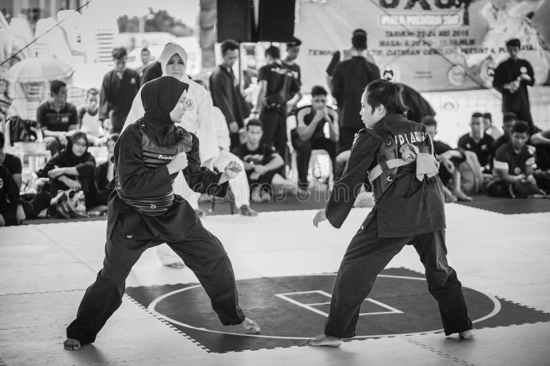 202 Silat Martial Arts Stock Photos Free & RoyaltyFree Stock Photos