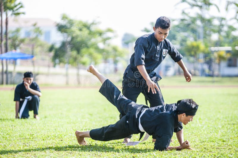 Martial Arts Demonstration editorial image. Image of