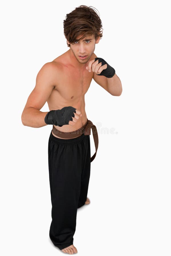 Martial Arts Fighter in Fighting Stance Stock Photo Image of copy