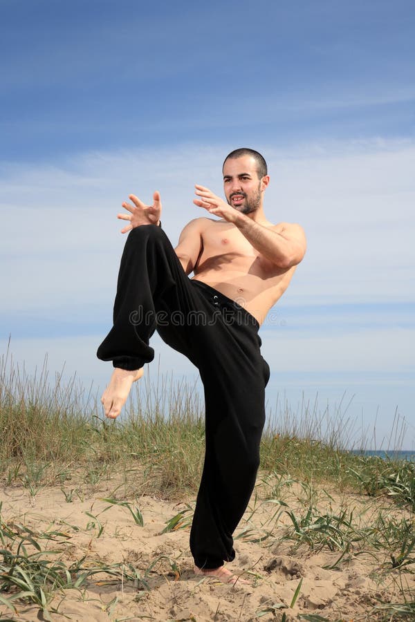 Martial arts instructor stock photo. Image of action - 26149368