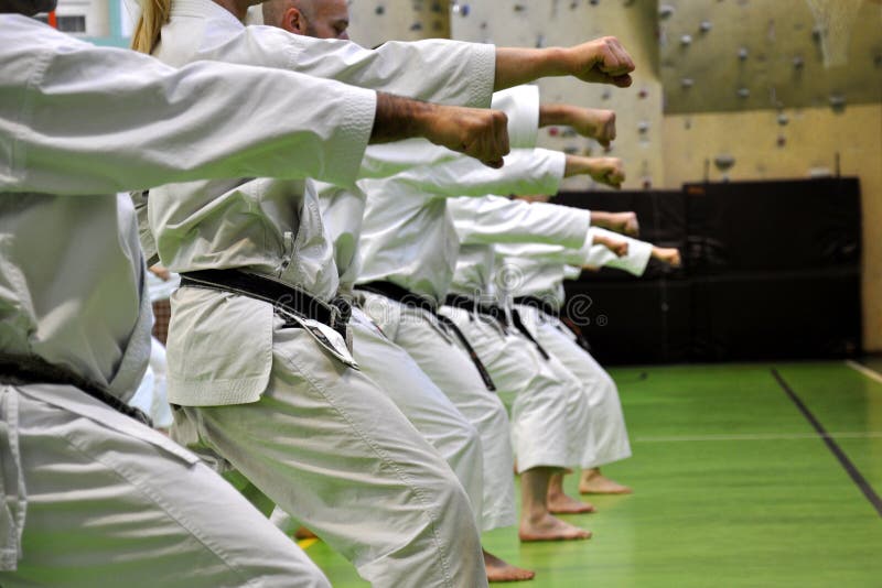 The Hikite in Martial Arts | Full Potential Martial Arts Academy