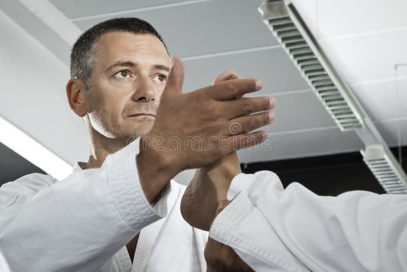 Martial arts master stock image. Image of combat, master 22384749