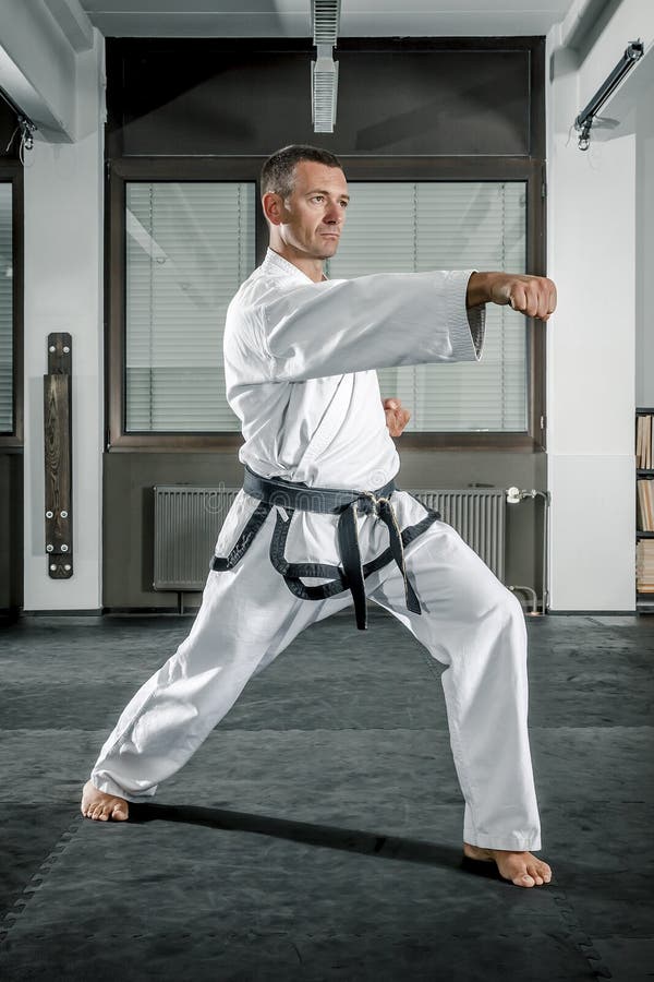 Taekwondo Martial Arts Master Stock Photo Image of black, concept