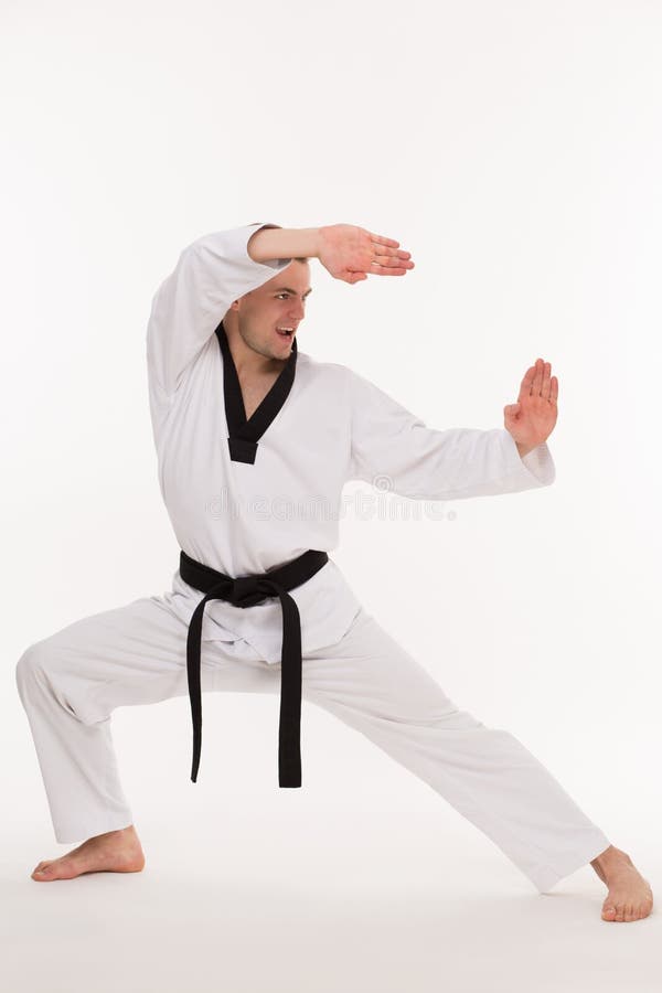 Martial arts master stock photo. Image of male, judo 53359946