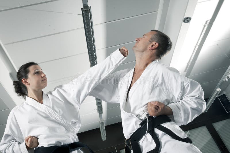 Martial arts masters stock photo. Image of combat, martial 27882102