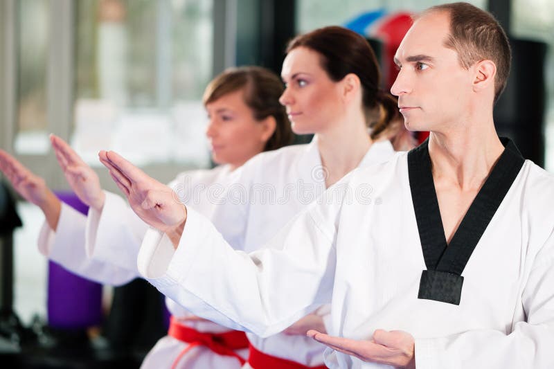 Martial Arts Sport Training in Gym Stock Photo Image of power, self