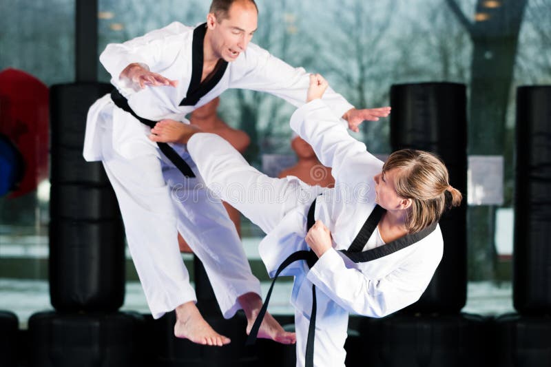 Martial Arts Sport Training in Gym Stock Photo Image of club, mawashi