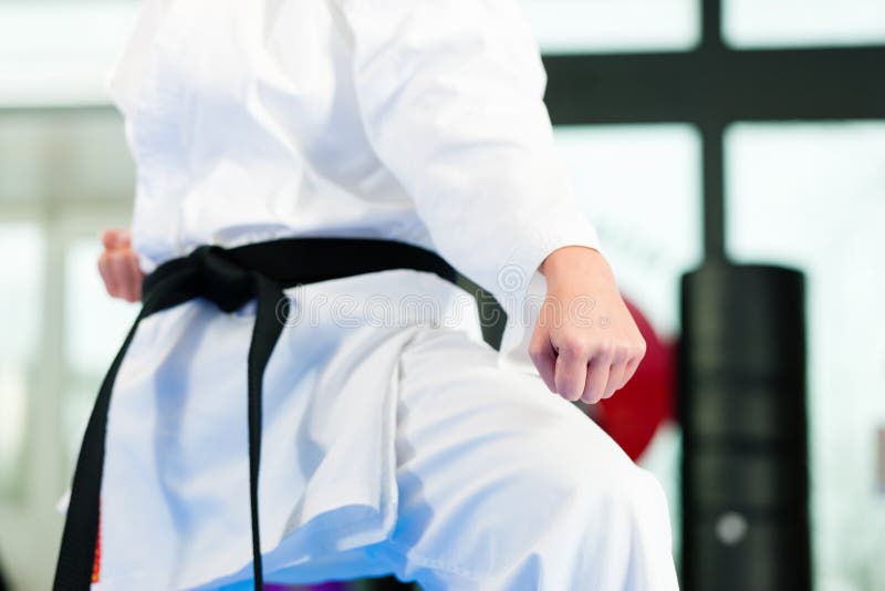 Martial Arts Sport Training in Gym Stock Photo Image of fight