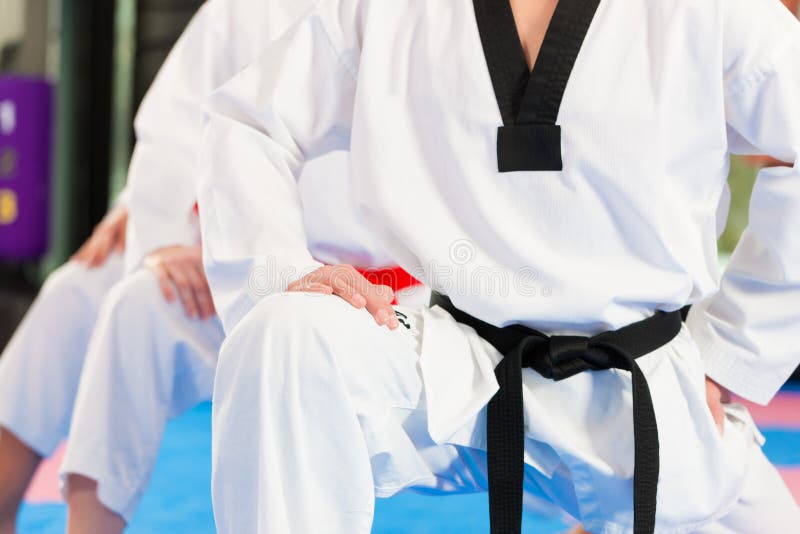 Martial Arts Sport Training in Gym Stock Photo Image of power, self